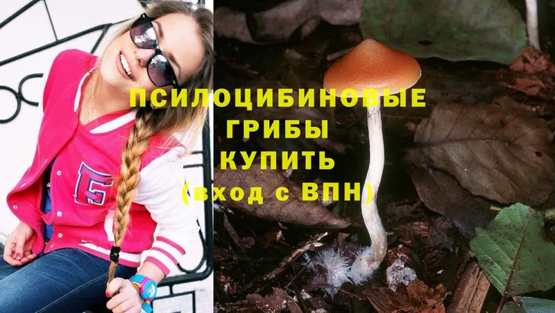 Псилоцибиновые грибы Cubensis  блэк спрут вход  Еманжелинск 